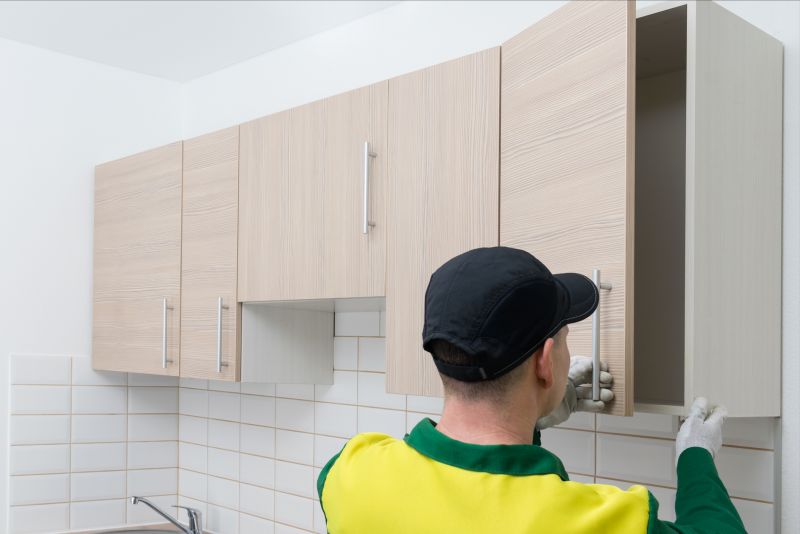 Cabinet Veneer Repair